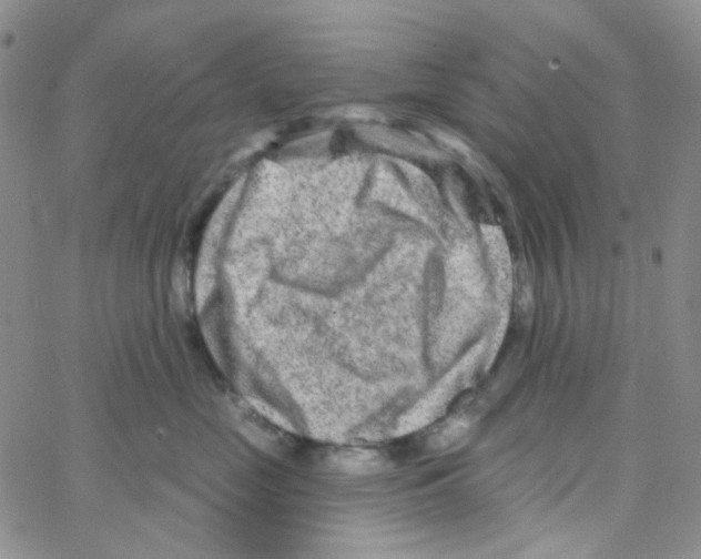 X0000064760669200603131410