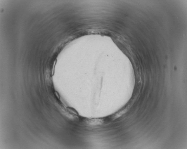 X0000064760670200603131410