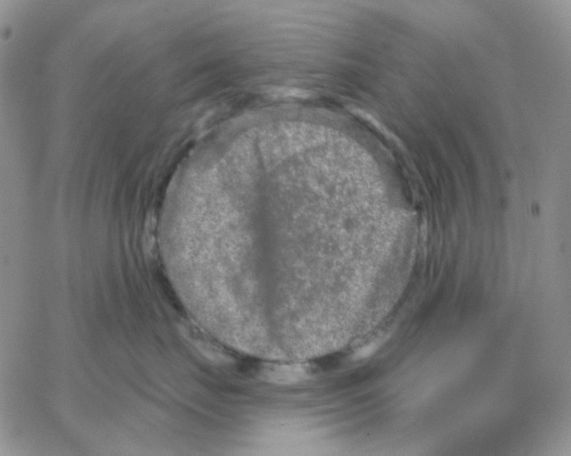 X0000064760671200603131410