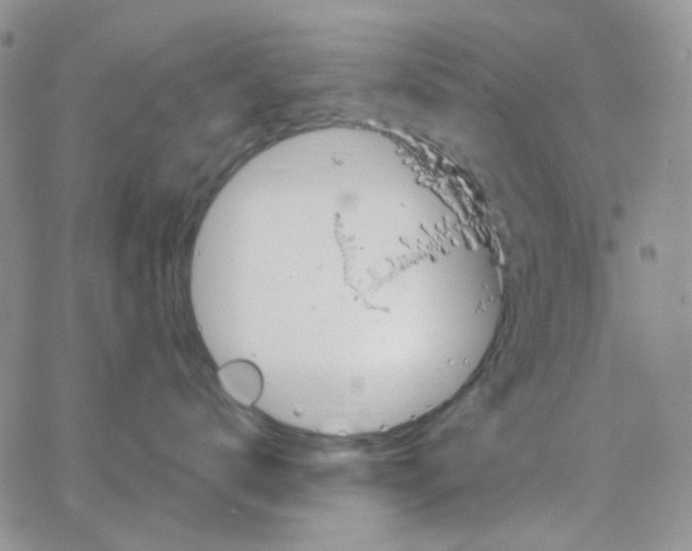 X0000064760672200603131410