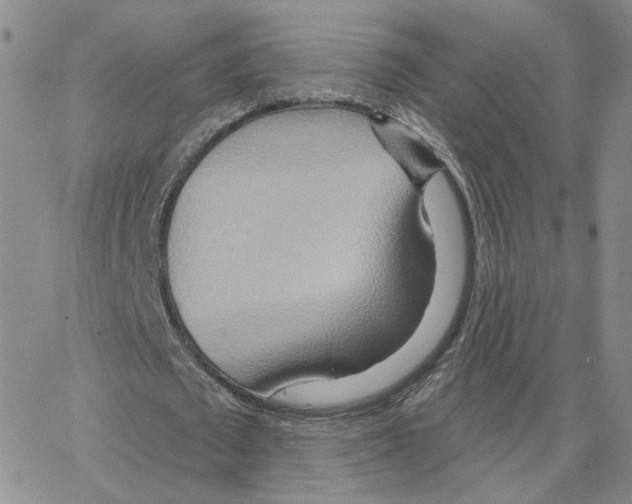 X0000064760673200603131409