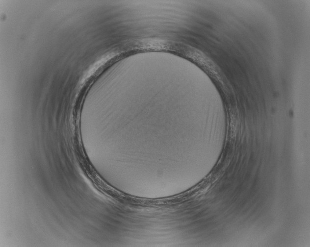 X0000064760674200603131409
