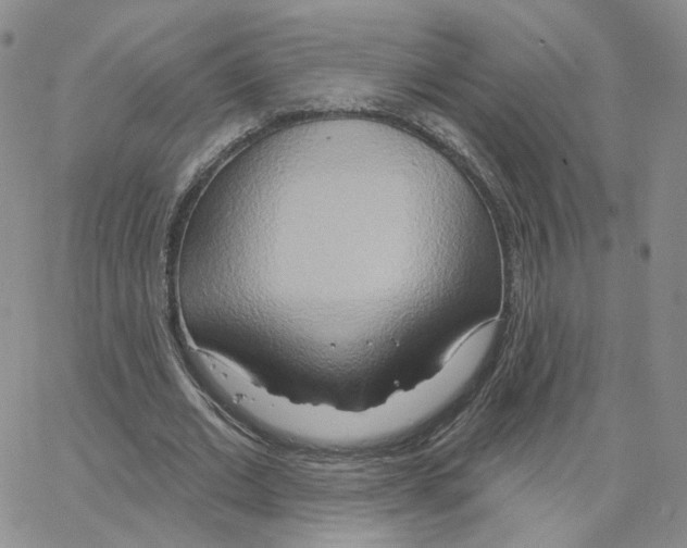 X0000064760677200603131409