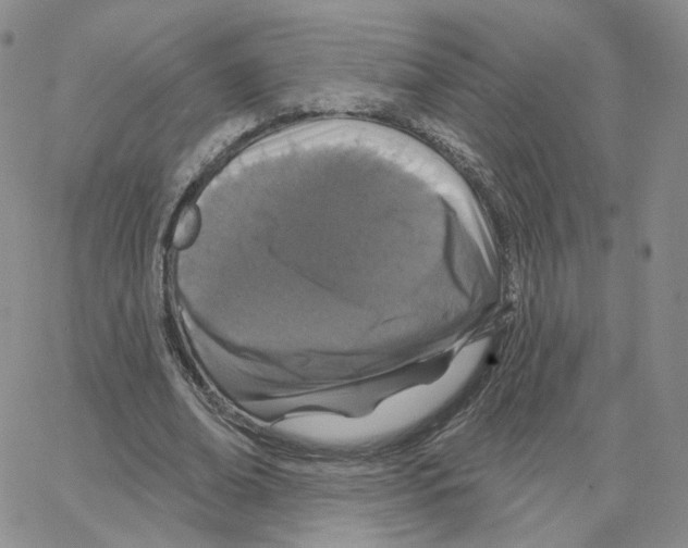 X0000064760678200603131409