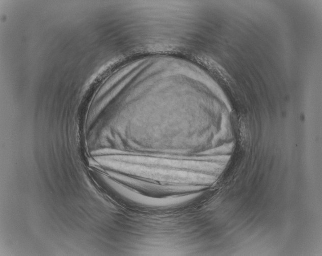 X0000064760684200603131409