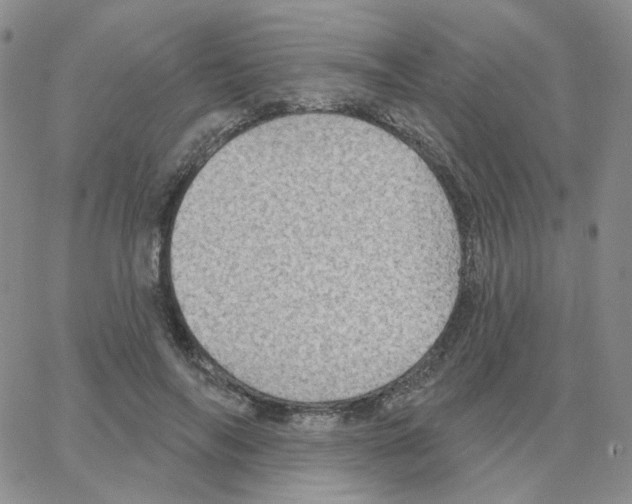 X0000064760694200603131409