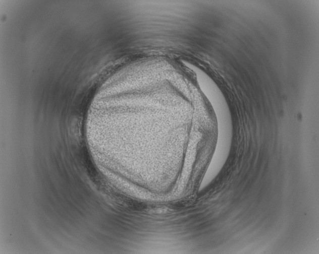 X0000064760695200603131409