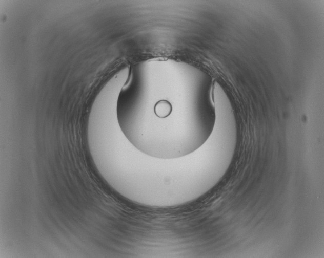 X0000064760697200603131409