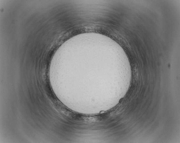 X0000064760698200603131409