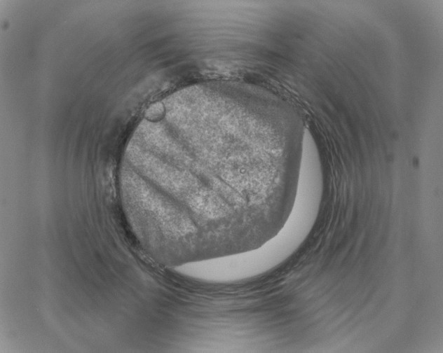 X0000064760699200603131409