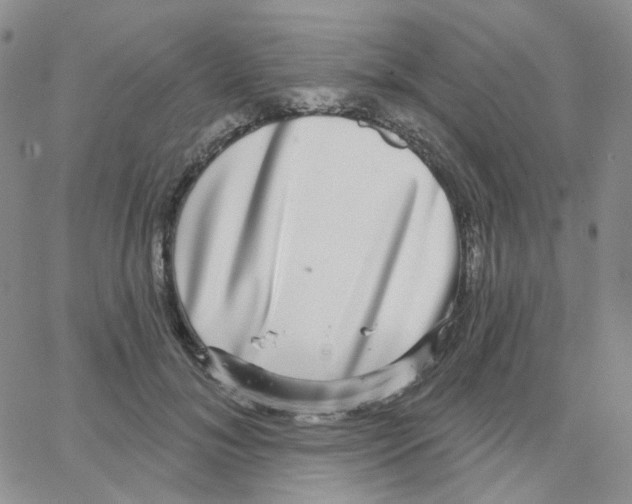 X0000064760700200603131409