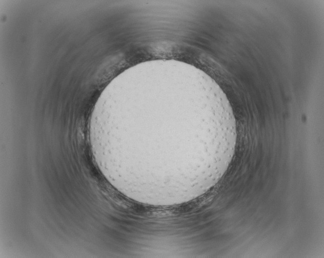 X0000064760702200603131409