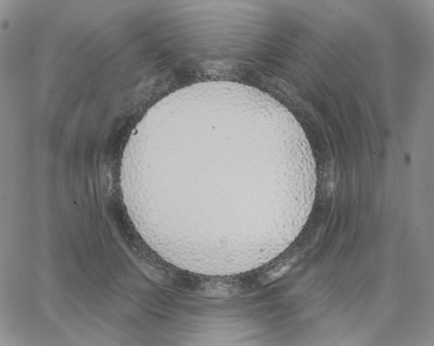 X0000064760703200603131409