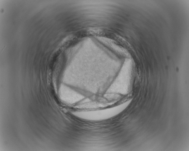 X0000064760712200603131409