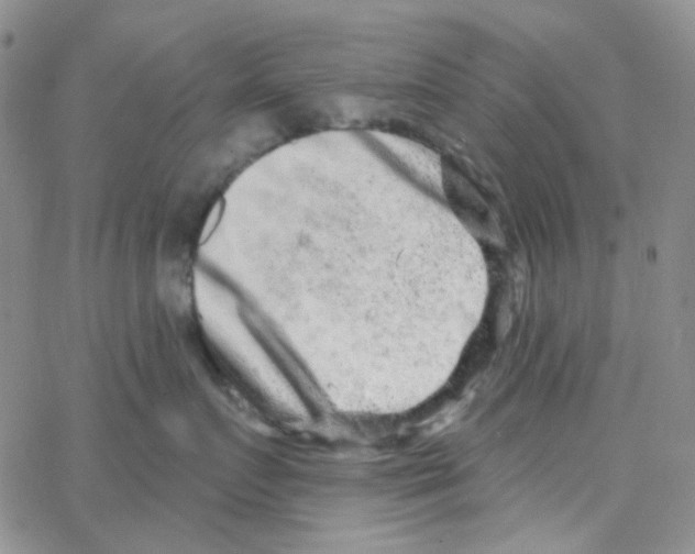 X0000064760719200603131408