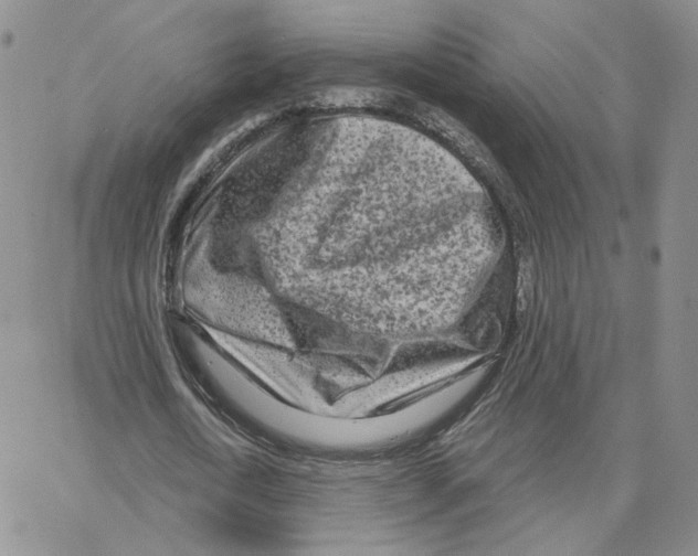 X0000064760722200603131408