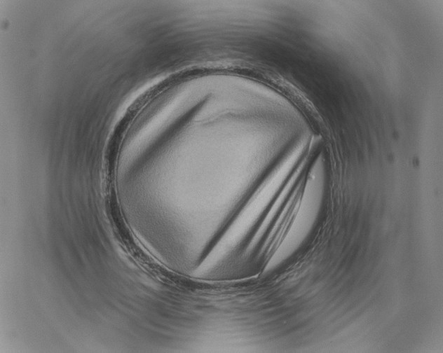 X0000064760724200603131408