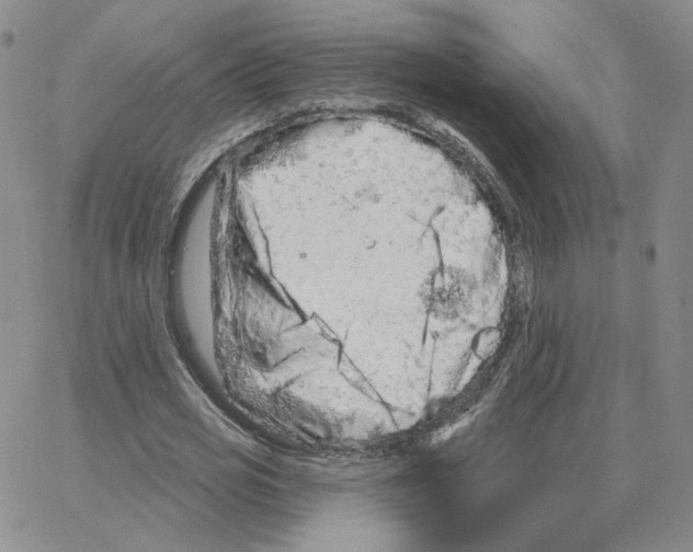 X0000064760725200603131408