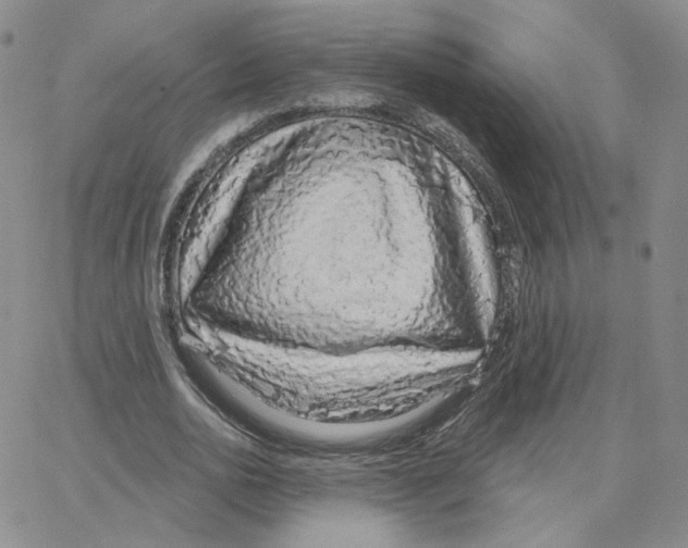 X0000064760726200603131408