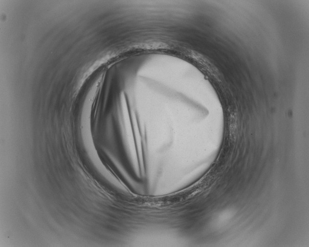 X0000064760727200603131408