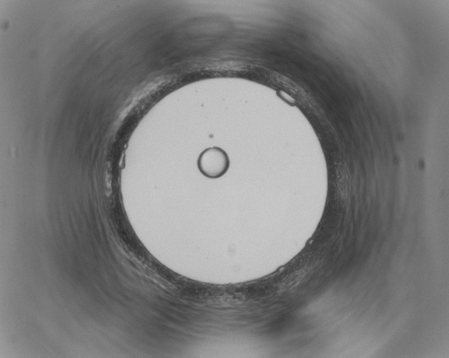 X0000064760731200603131408