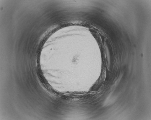 X0000064760734200603131408