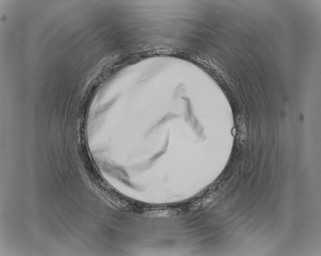 X0000064760738200603131408