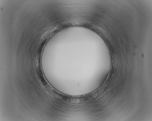 X0000064760740200603131408