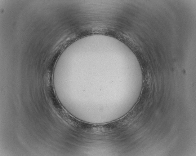 X0000064760744200603131408