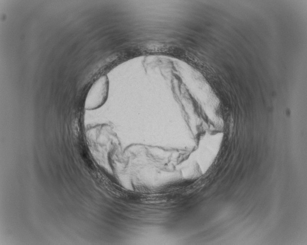 X0000064760746200603131408