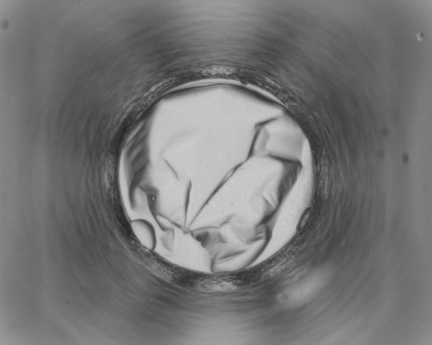 X0000064760747200603131408