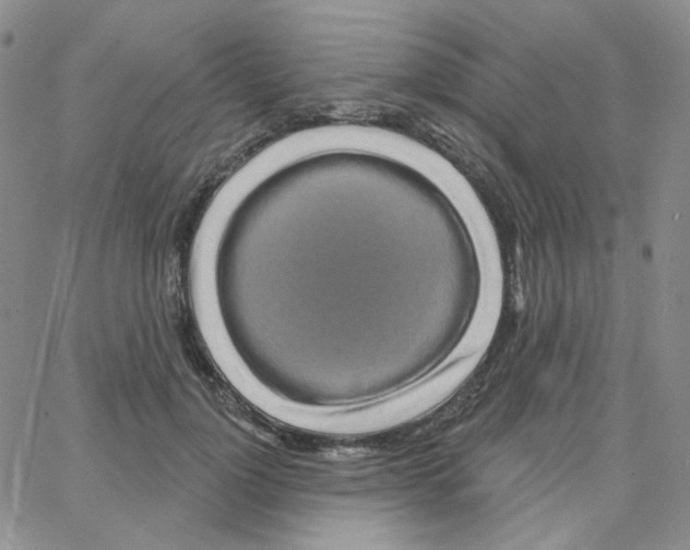X0000064760748200603131408