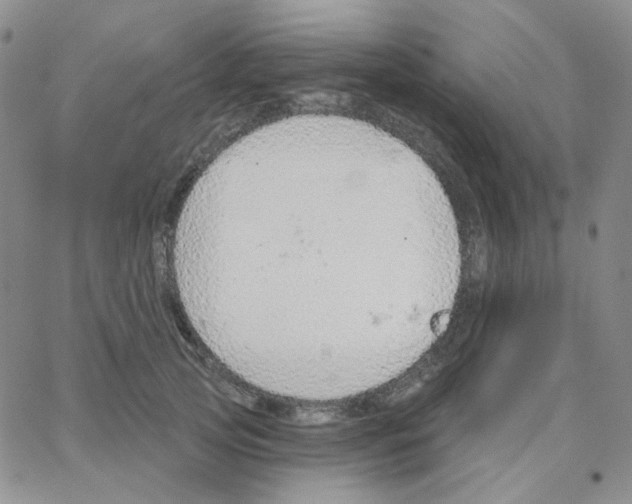 X0000064760753200603131408