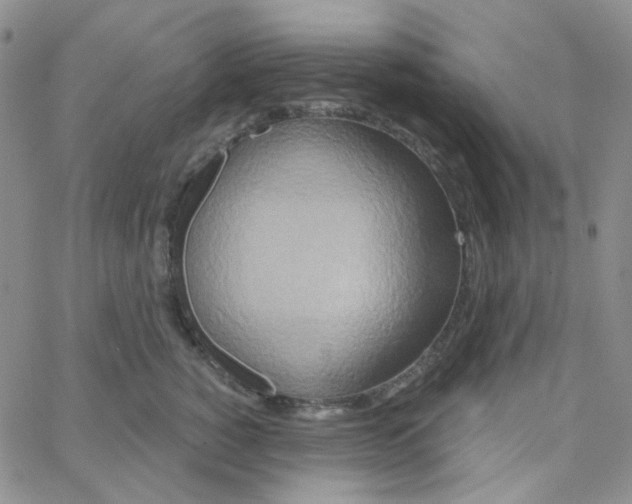 X0000064760760200603131408