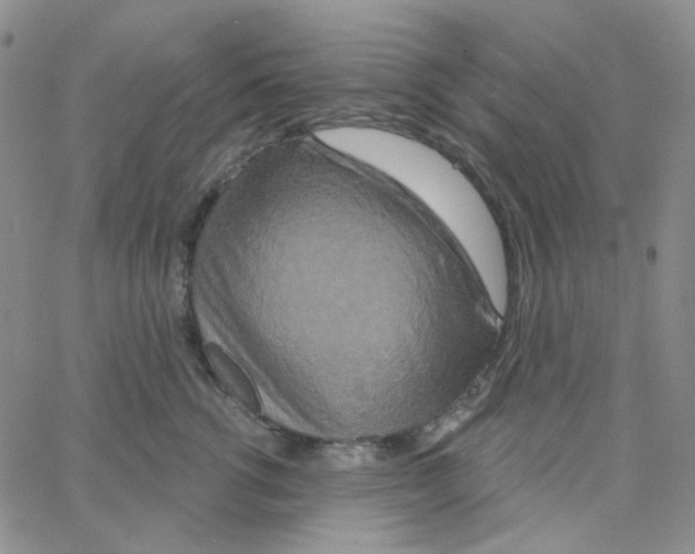 X0000064760762200603131408