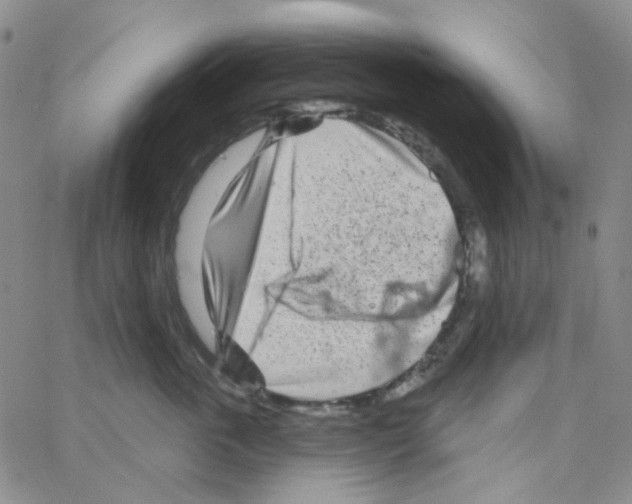 X0000064760763200603131408