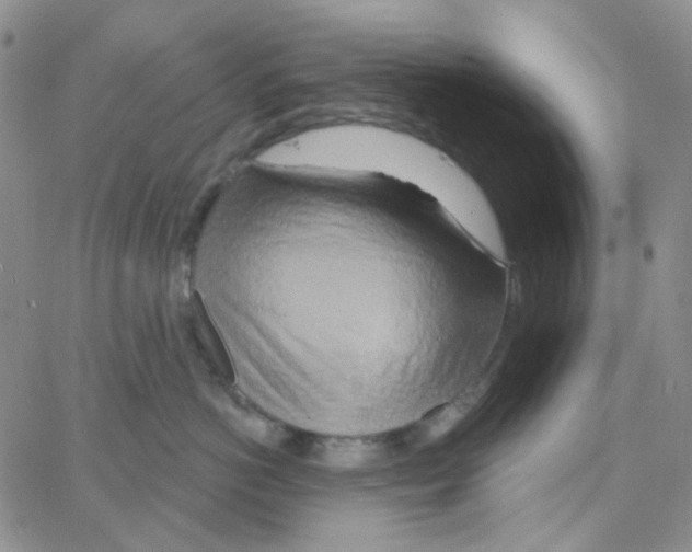 X0000064760766200603131408