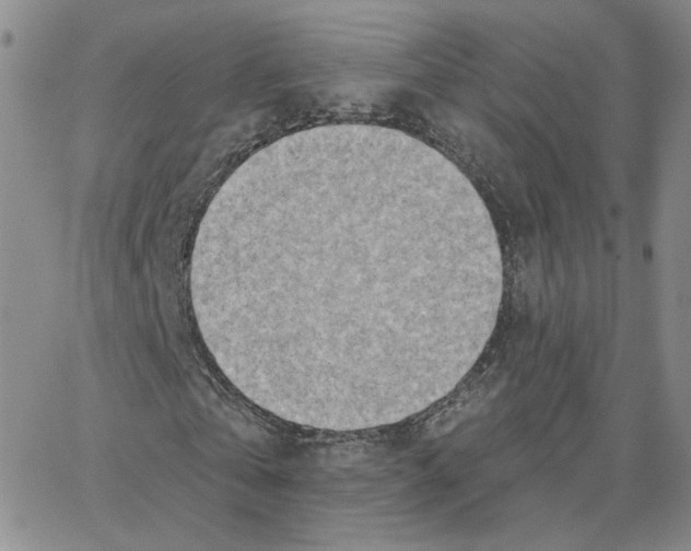 X0000064760769200603131408