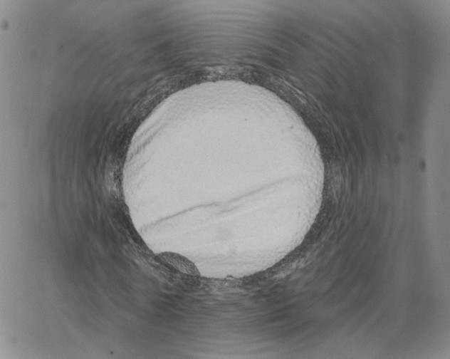 X0000064760770200603131408