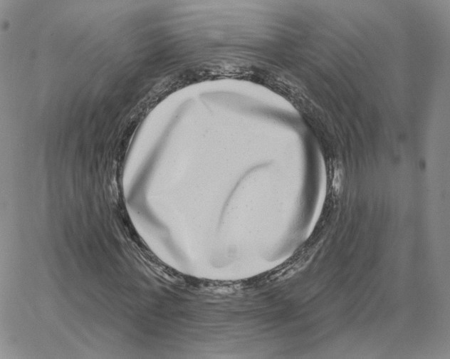 X0000064760771200603131408