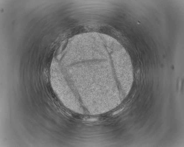 X0000064760772200603131408