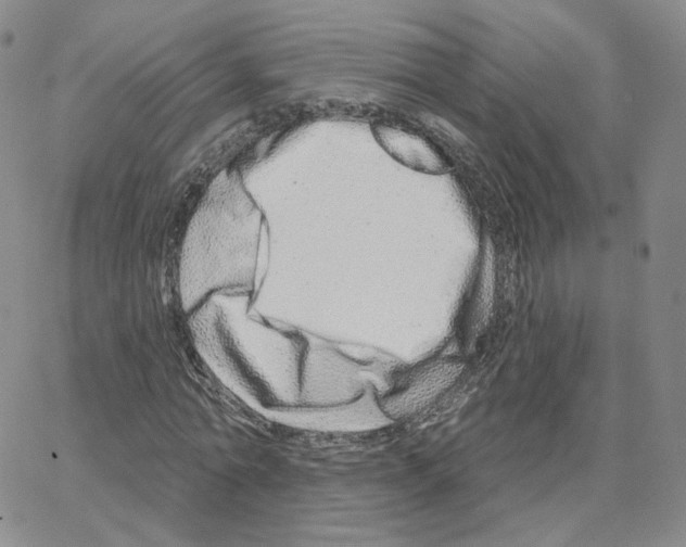 X0000064760774200603131407