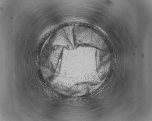 X0000064760775200603131407