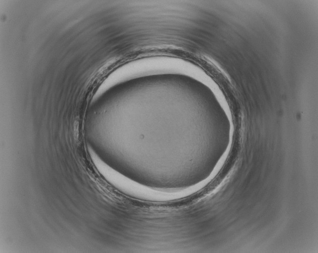 X0000064760777200603131407