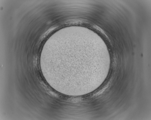 X0000064760778200603131407