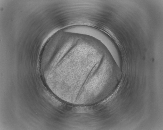 X0000064760780200603131407