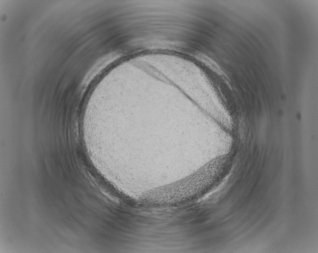 X0000064760782200603131407
