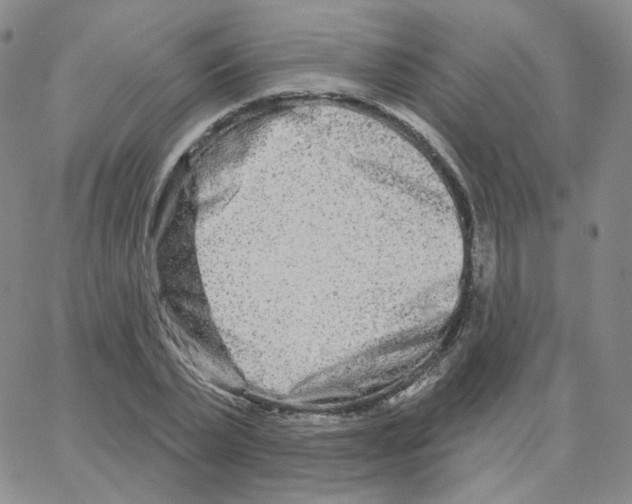 X0000064760783200603131407