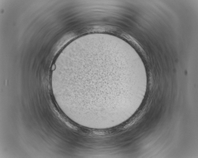 X0000064760794200603131407