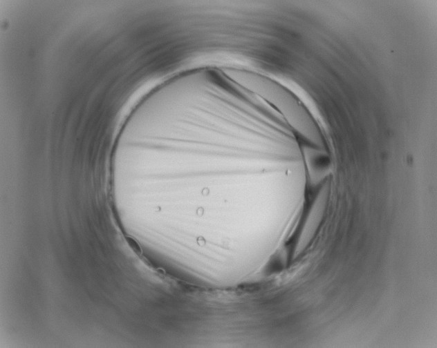 X0000064760815200603131407